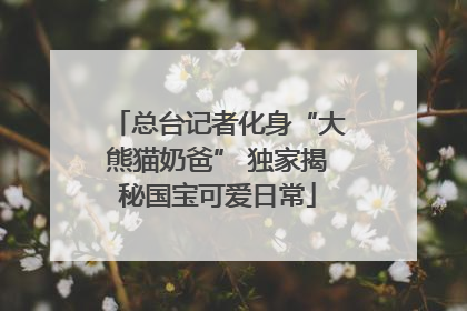 总台记者化身“大熊猫奶爸” 独家揭秘国宝可爱日常