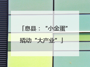 息县：“小金蛋”撬动“大产业”
