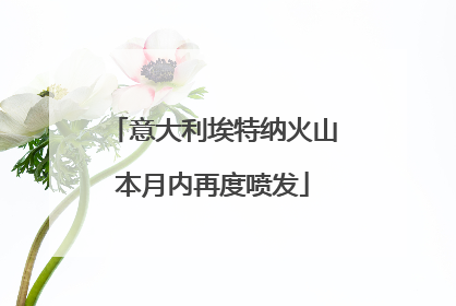 意大利埃特纳火山本月内再度喷发