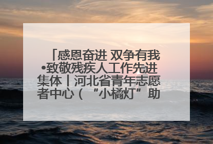 感恩奋进 双争有我•致敬残疾人工作先进集体丨河北省青年志愿者中心（“小橘灯”助残接力计划实施团队）：用温暖陪伴，守护特殊孩子成长