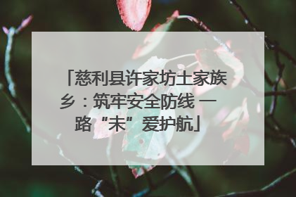 慈利县许家坊土家族乡：筑牢安全防线 一路“未”爱护航