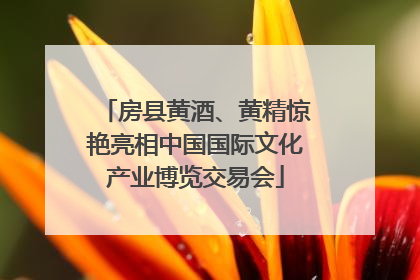 房县黄酒、黄精惊艳亮相中国国际文化产业博览交易会
