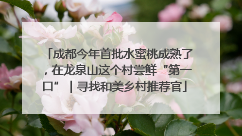 成都今年首批水蜜桃成熟了，在龙泉山这个村尝鲜“第一口”｜寻找和美乡村推荐官