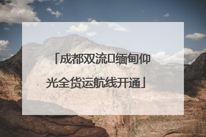 成都双流⇌缅甸仰光全货运航线开通