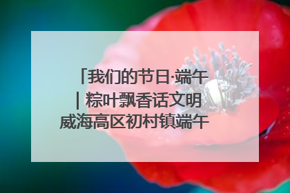 我们的节日·端午｜粽叶飘香话文明 威海高区初村镇端午系列活动亮点纷呈