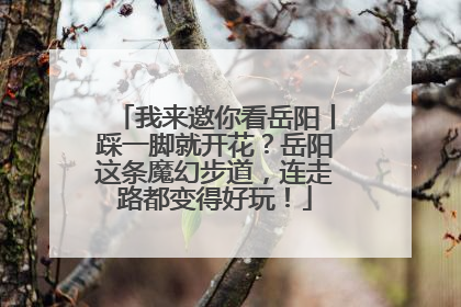 我来邀你看岳阳丨踩一脚就开花？岳阳这条魔幻步道，连走路都变得好玩！