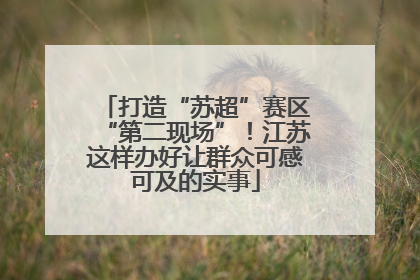 打造“苏超”赛区“第二现场”！江苏这样办好让群众可感可及的实事
