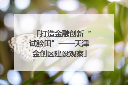打造金融创新“试验田”——天津金创区建设观察