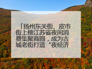 扬州东关街、皮市街上榜江苏省夜间消费集聚商圈，成为古城老街打造“夜经济”的样本