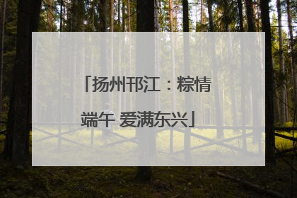 扬州邗江：粽情端午 爱满东兴