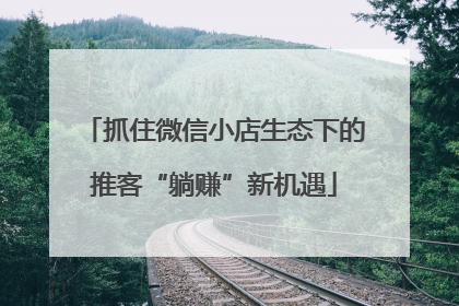 抓住微信小店生态下的推客“躺赚”新机遇