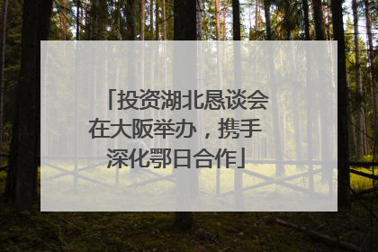 投资湖北恳谈会在大阪举办，携手深化鄂日合作