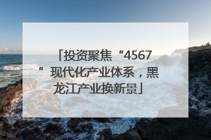 投资聚焦“4567”现代化产业体系，黑龙江产业换新景