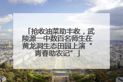 抢收油菜助丰收，武陵源一中数百名师生在黄龙洞生态田园上演“青春助农记”