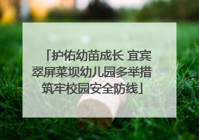 护佑幼苗成长 宜宾翠屏菜坝幼儿园多举措筑牢校园安全防线