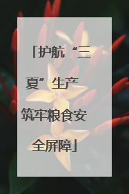 护航“三夏”生产 筑牢粮食安全屏障
