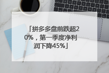 拼多多盘前跌超20%，第一季度净利润下降45%