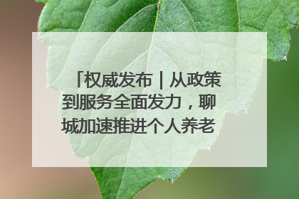 权威发布｜从政策到服务全面发力，聊城加速推进个人养老金制度落地