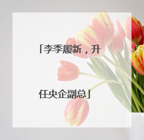 李季履新，升任央企副总