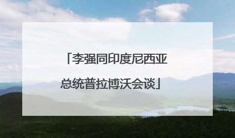 李强同印度尼西亚总统普拉博沃会谈
