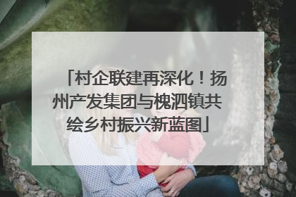 村企联建再深化！扬州产发集团与槐泗镇共绘乡村振兴新蓝图