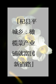 杞县平城乡：橄榄菜产业铺就富民新道路
