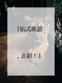 杭式夜游，走起！