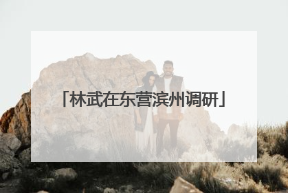 林武在东营滨州调研