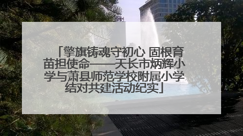 擎旗铸魂守初心 固根育苗担使命——天长市炳辉小学与萧县师范学校附属小学结对共建活动纪实