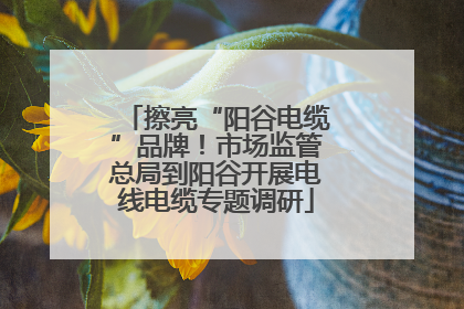 擦亮“阳谷电缆”品牌！市场监管总局到阳谷开展电线电缆专题调研