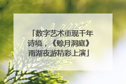 数字艺术重现千年诗境，《赊月洞庭》南湖夜游精彩上演