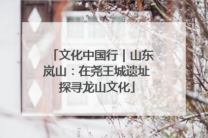 文化中国行｜山东岚山：在尧王城遗址探寻龙山文化