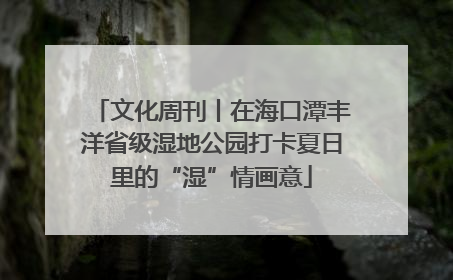 文化周刊丨在海口潭丰洋省级湿地公园打卡夏日里的“湿”情画意