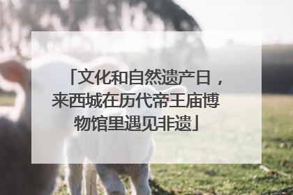 文化和自然遗产日，来西城在历代帝王庙博物馆里遇见非遗