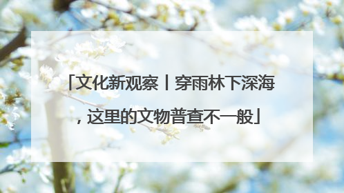 文化新观察丨穿雨林下深海，这里的文物普查不一般