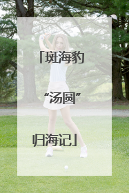 斑海豹“汤圆”归海记