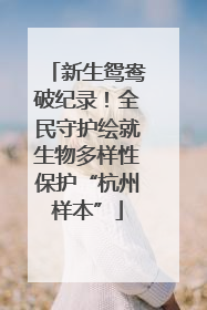 新生鸳鸯破纪录！全民守护绘就生物多样性保护“杭州样本”