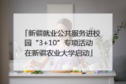 新疆就业公共服务进校园“3+10”专项活动在新疆农业大学启动