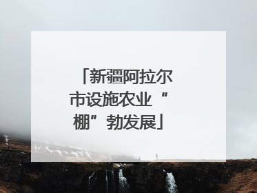 新疆阿拉尔市设施农业“棚”勃发展