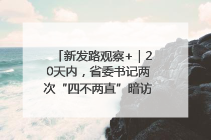 新发路观察+｜20天内，省委书记两次“四不两直”暗访，有何深意？