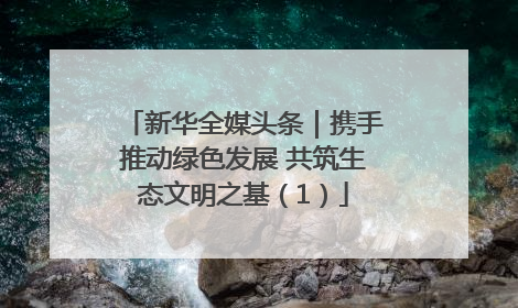 新华全媒头条｜携手推动绿色发展 共筑生态文明之基（1）