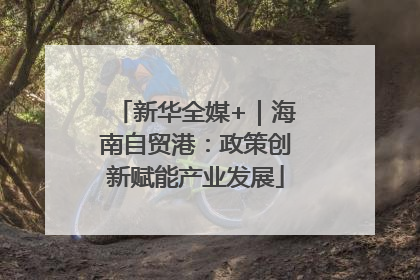 新华全媒+｜海南自贸港：政策创新赋能产业发展