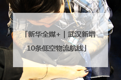 新华全媒+｜武汉新增10条低空物流航线