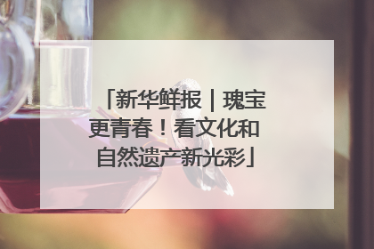 新华鲜报｜瑰宝更青春！看文化和自然遗产新光彩
