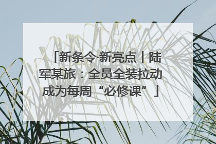 新条令·新亮点丨陆军某旅：全员全装拉动成为每周“必修课”