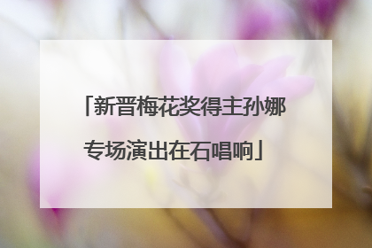 新晋梅花奖得主孙娜专场演出在石唱响