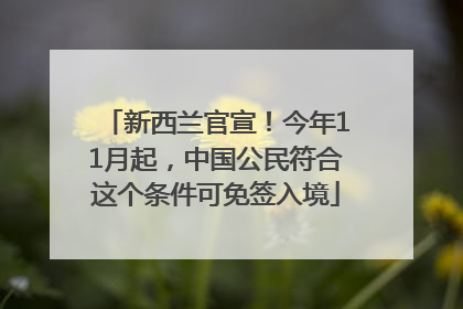 新西兰官宣！今年11月起，中国公民符合这个条件可免签入境