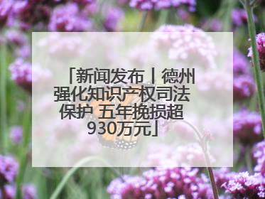 新闻发布丨德州强化知识产权司法保护 五年挽损超930万元