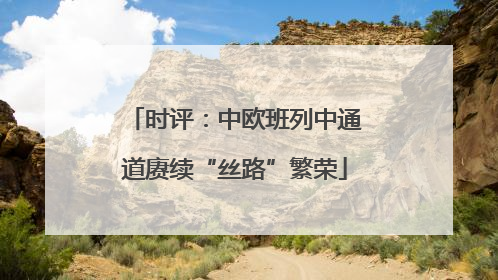 时评：中欧班列中通道赓续“丝路”繁荣