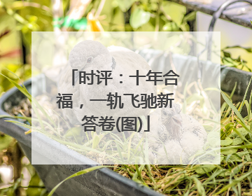 时评：十年合福，一轨飞驰新答卷(图)